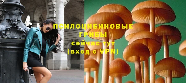 трава Алзамай